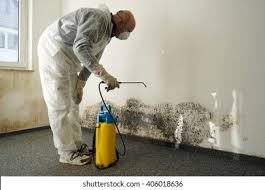 Best Mold Prevention Services in Falls Creek, PA